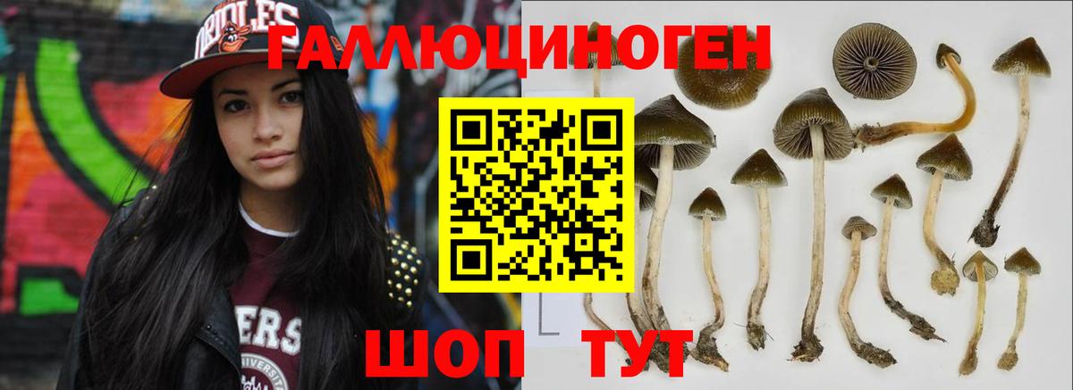 Алапаевск  Псилоцибиновые грибы GOLDEN TEACHER  Вход с VPN 