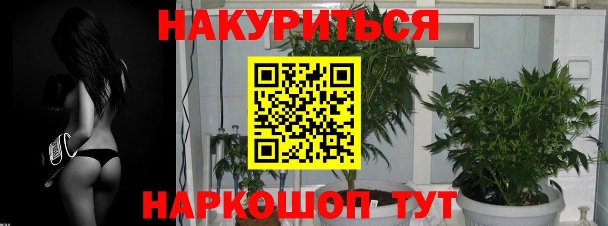 Марихуана гибрид Алапаевск